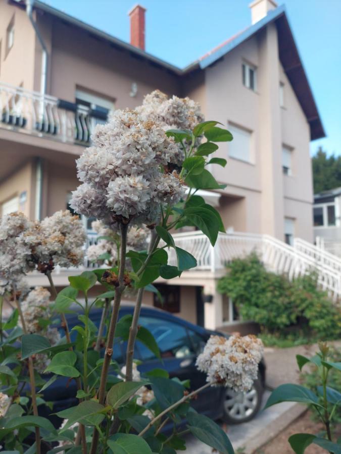 M Apartments Soko Banja Esterno foto